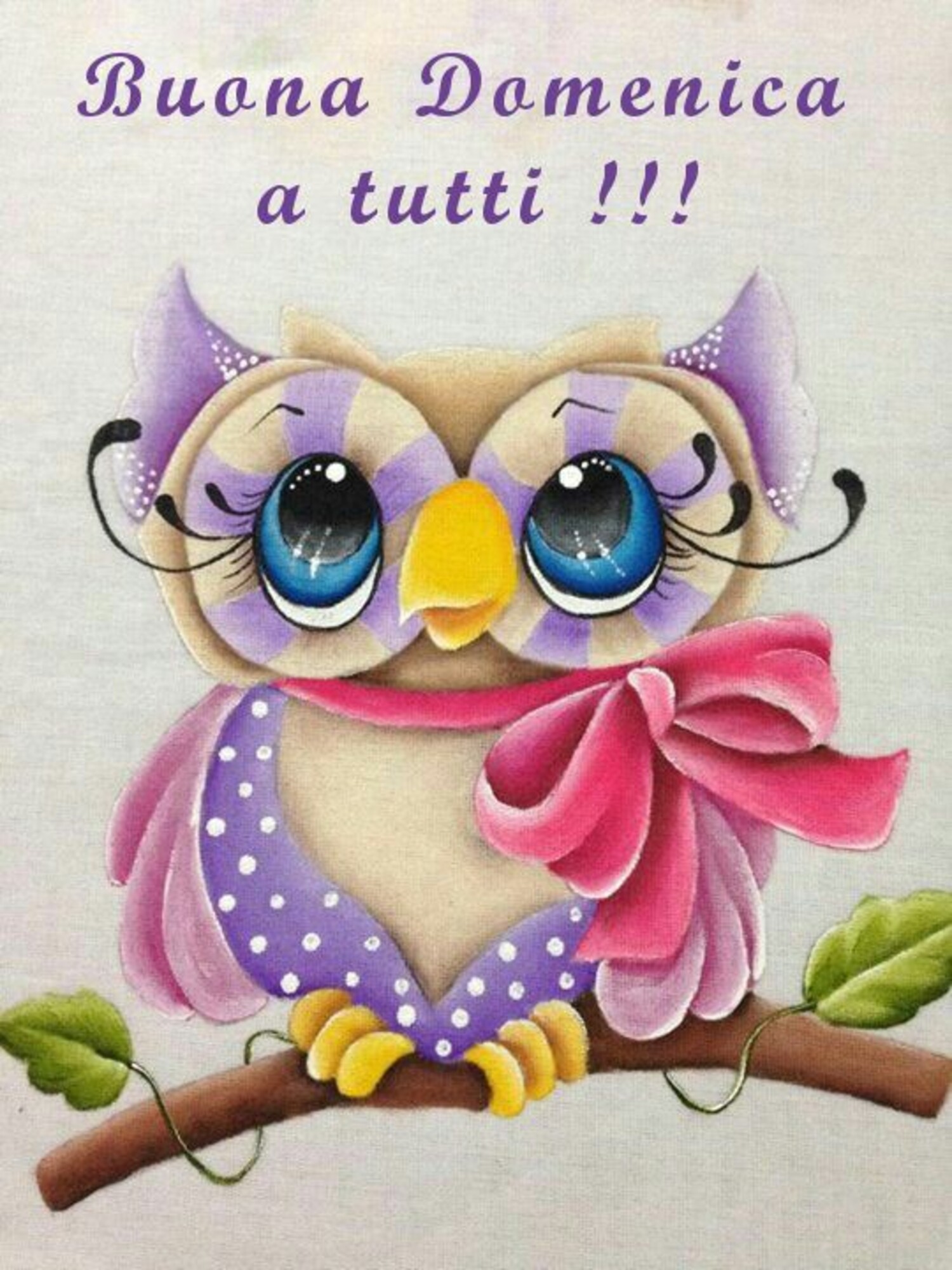 Buona Domenica a tutti