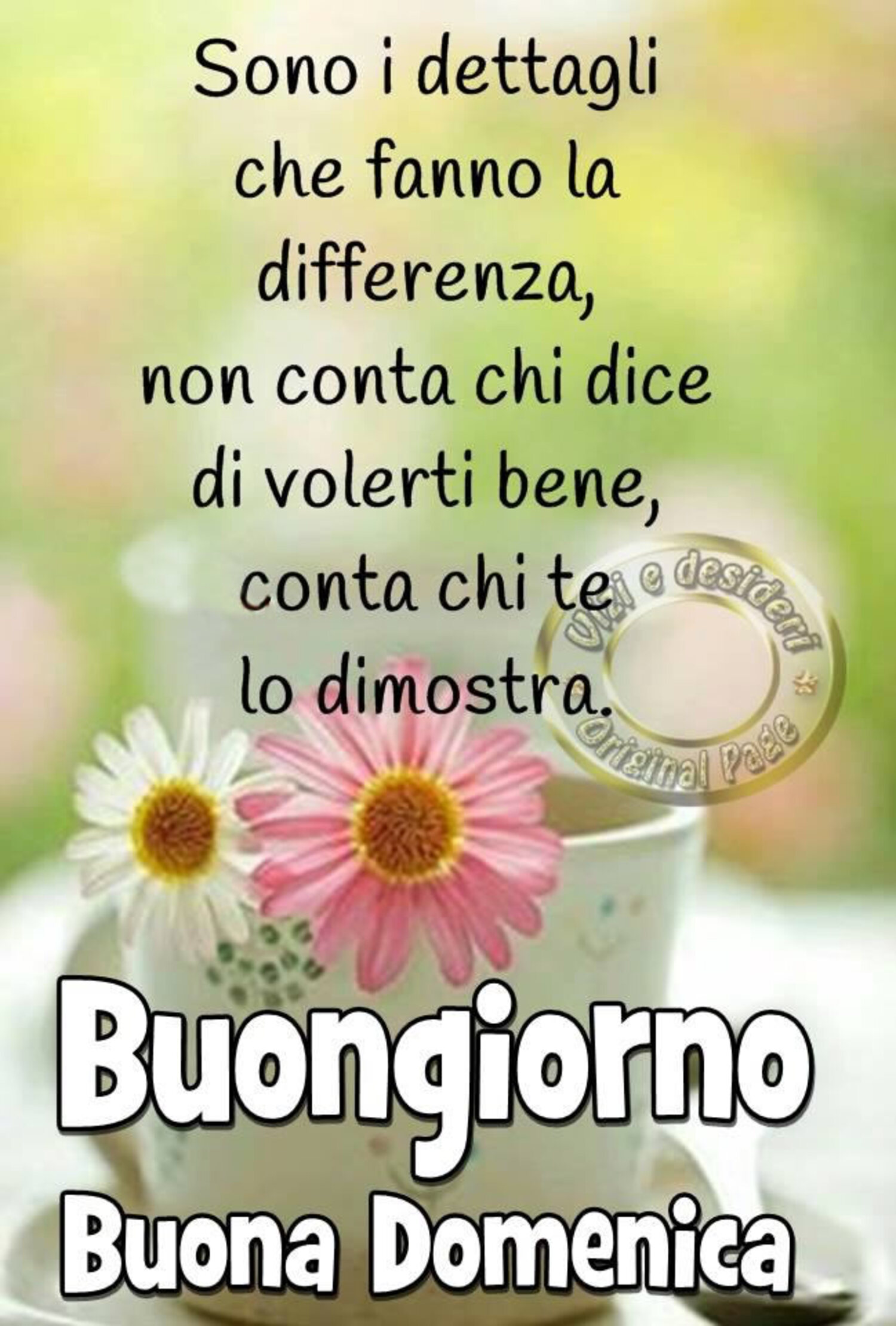 Sono i dettagli che fanno la differenza, non conta chi dice di volerti bene, conta chi te lo dimostra. Buongiorno Buona Domenica