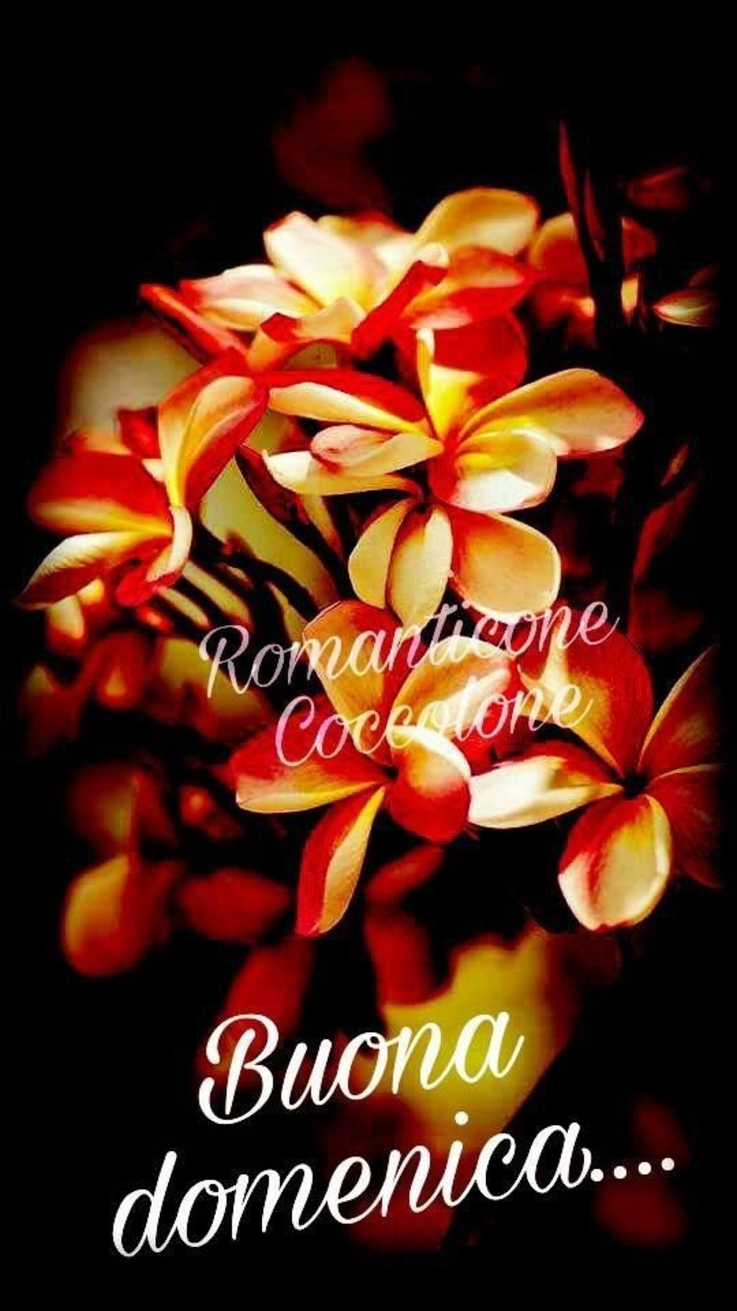 Buona Domenica