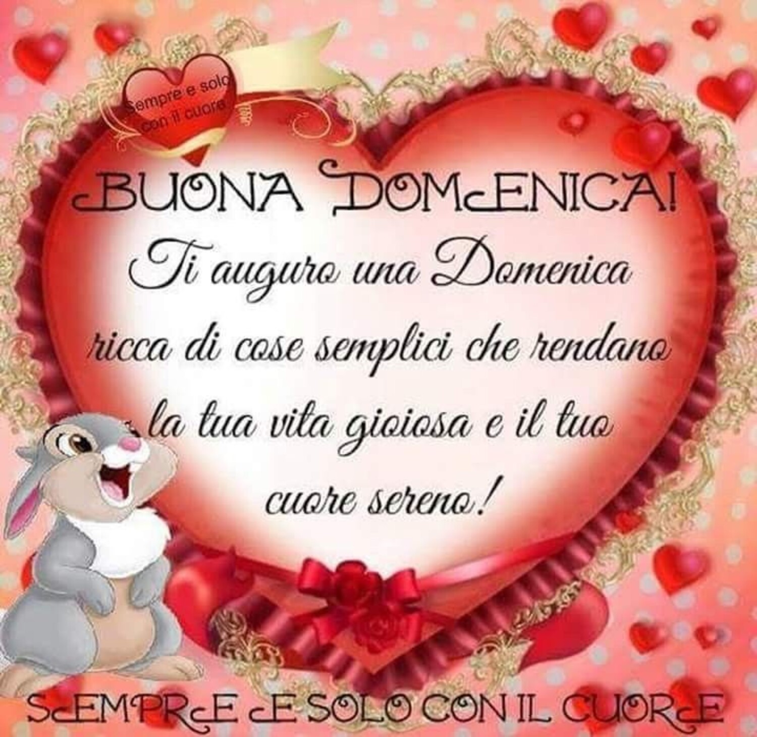 Buona Domenica ti auguro una Domenica ricca di cose semplici che rendano la tua vita gioiosa e il tuo cuore sereno!