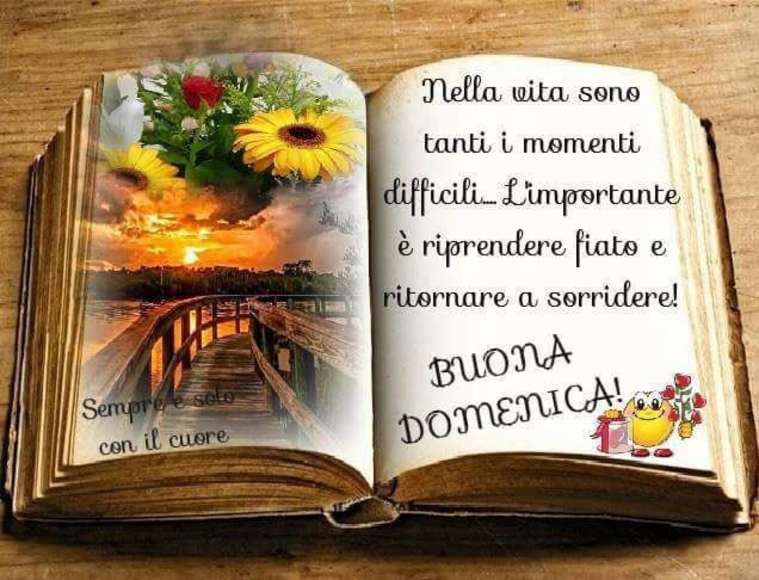 Nella vita sono tanti i momenti difficili...L'importante è riprendere fiato e ritornare a sorridere...Buona Domenica