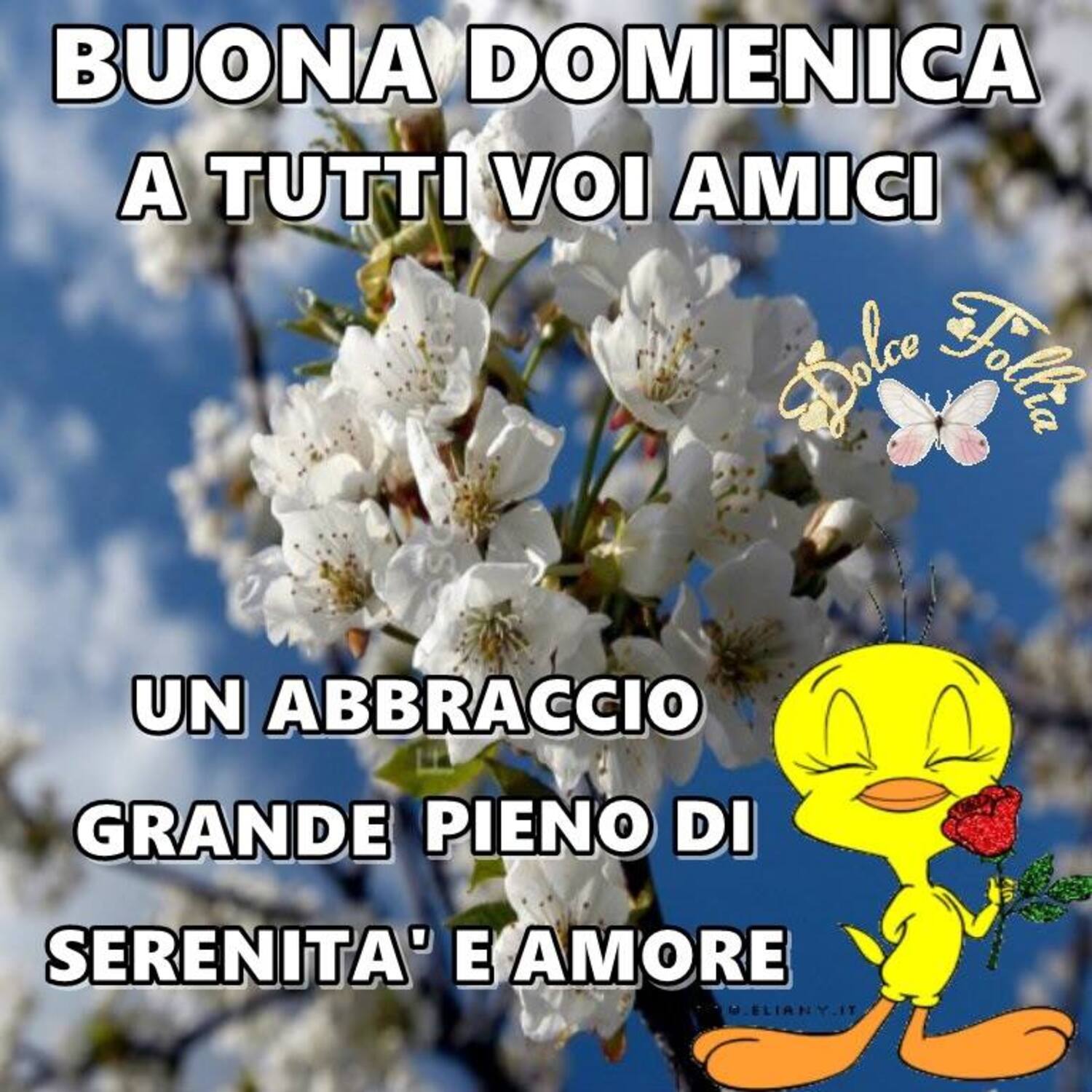 Buona Domenica a tutti voi amici! Un abbraccio grande pieno di serenità e amore