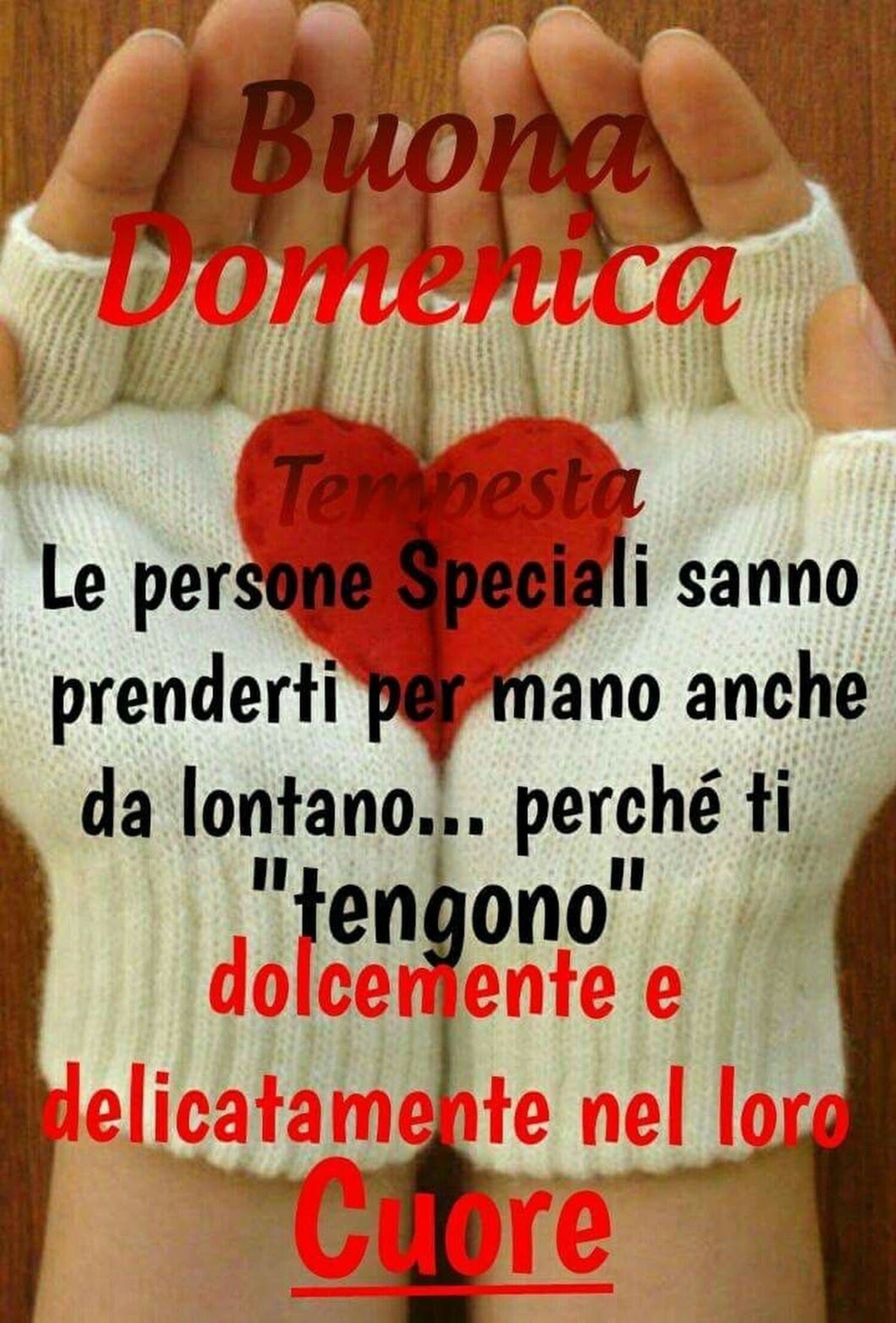 Buona Domenica le persone speciali sanno prenderti per mano anche da lontano...perchè ti "tengono" dolcemente e delicatamente nel loro cuore
