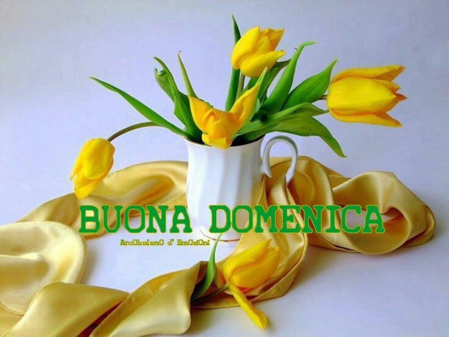 Buona Domenica