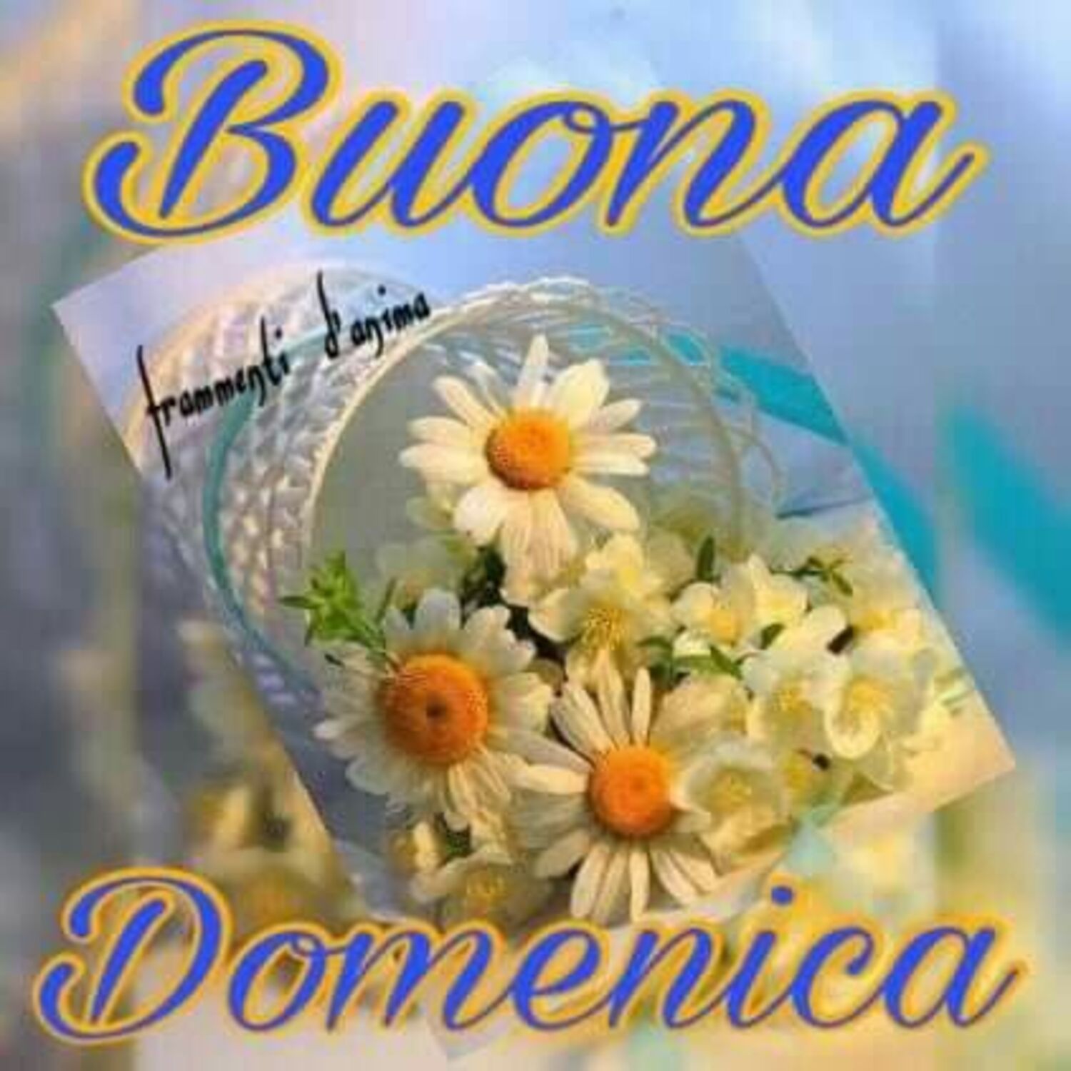 Buona Domenica