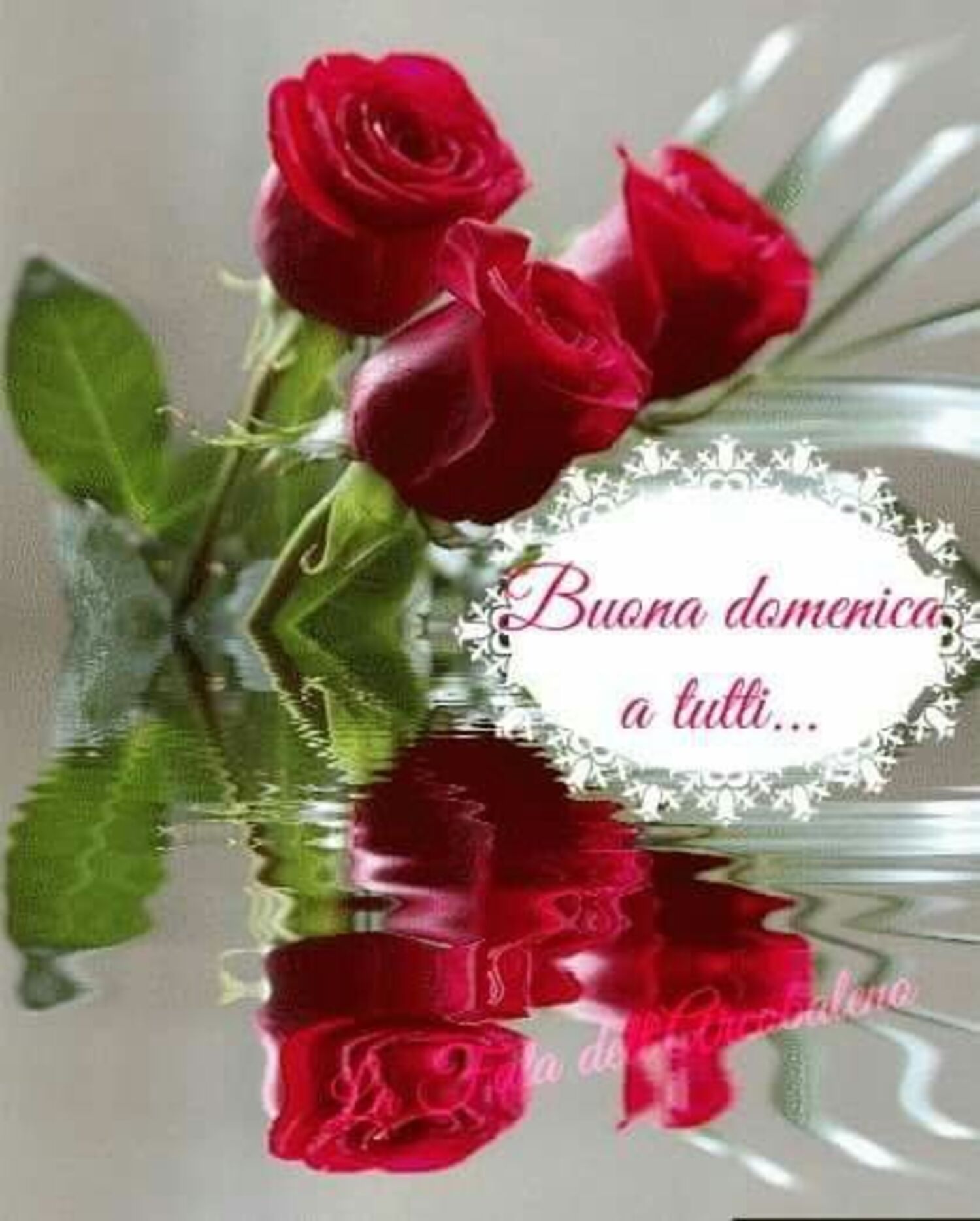 Buona Domenica a tutti