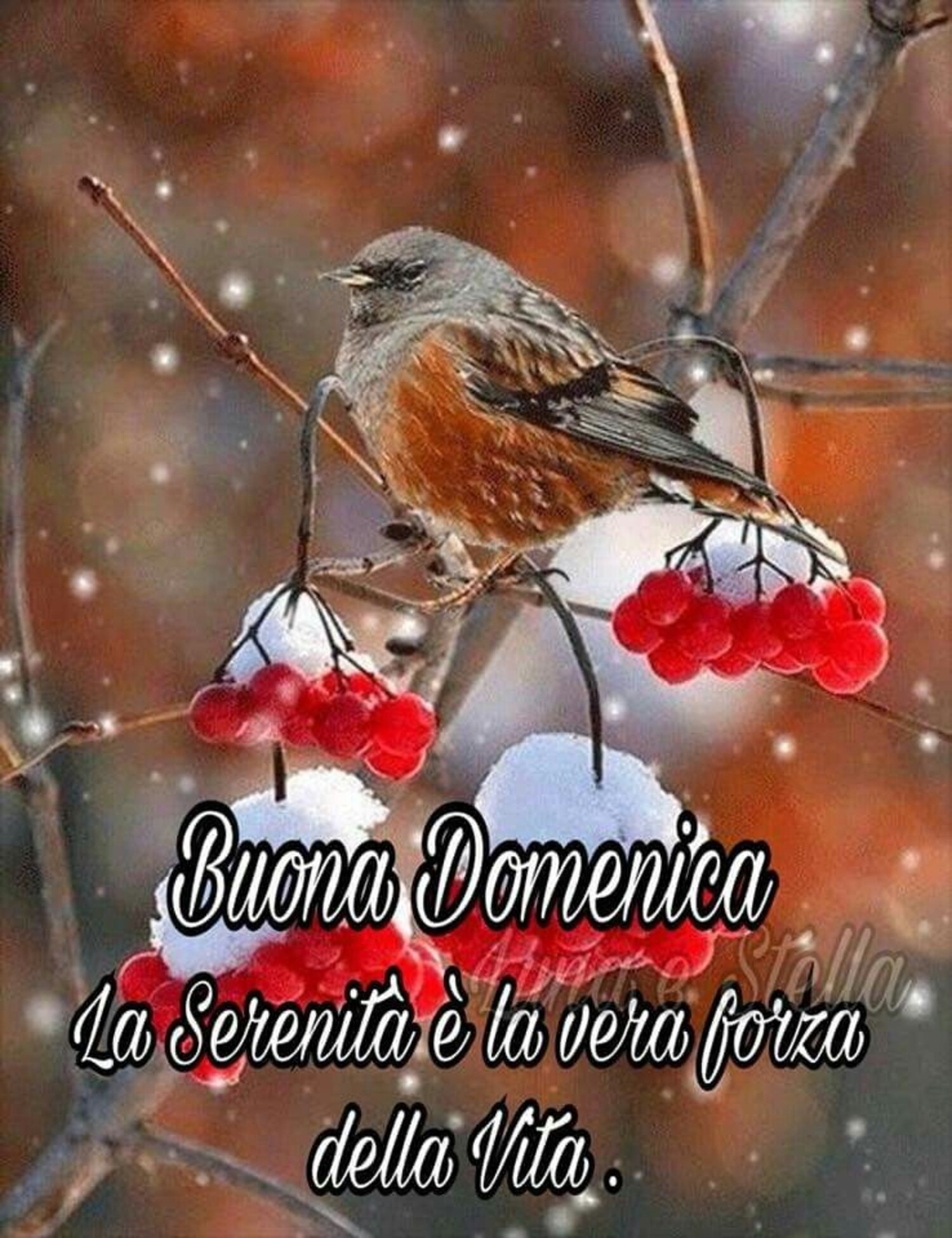 Buona domenica la serenità è la vera forza  della vita