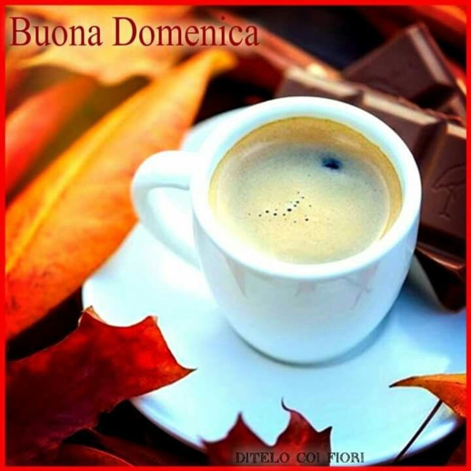 Buona Domenica