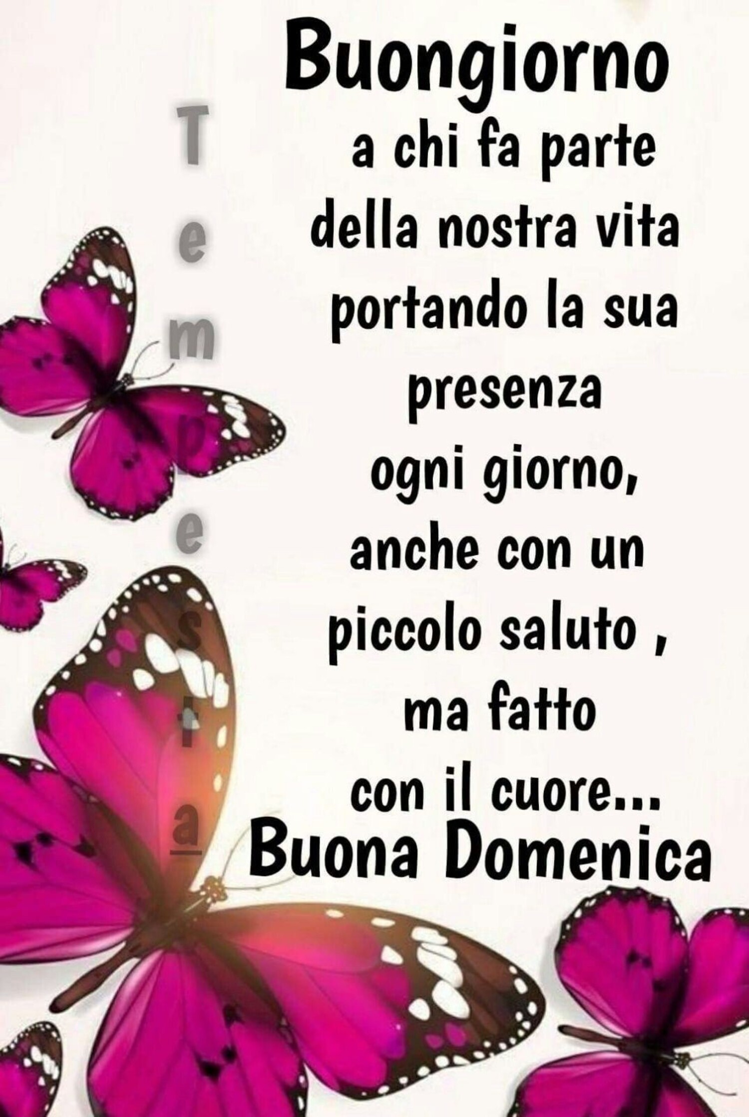 Buongiorno a chi fa parte della nostra vita portando la sua presenza ogni giorno, anche con un piccolo saluto, ma fatto con il cuore....Buona Domenica