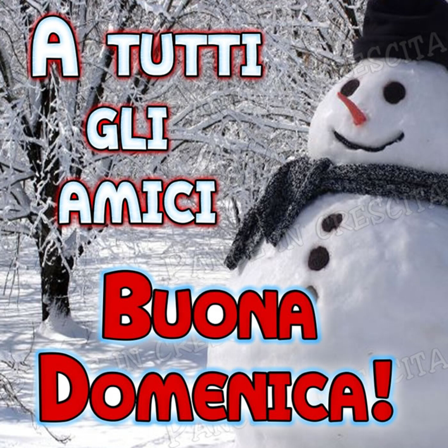 A tutti gli amici Buona Domenica
