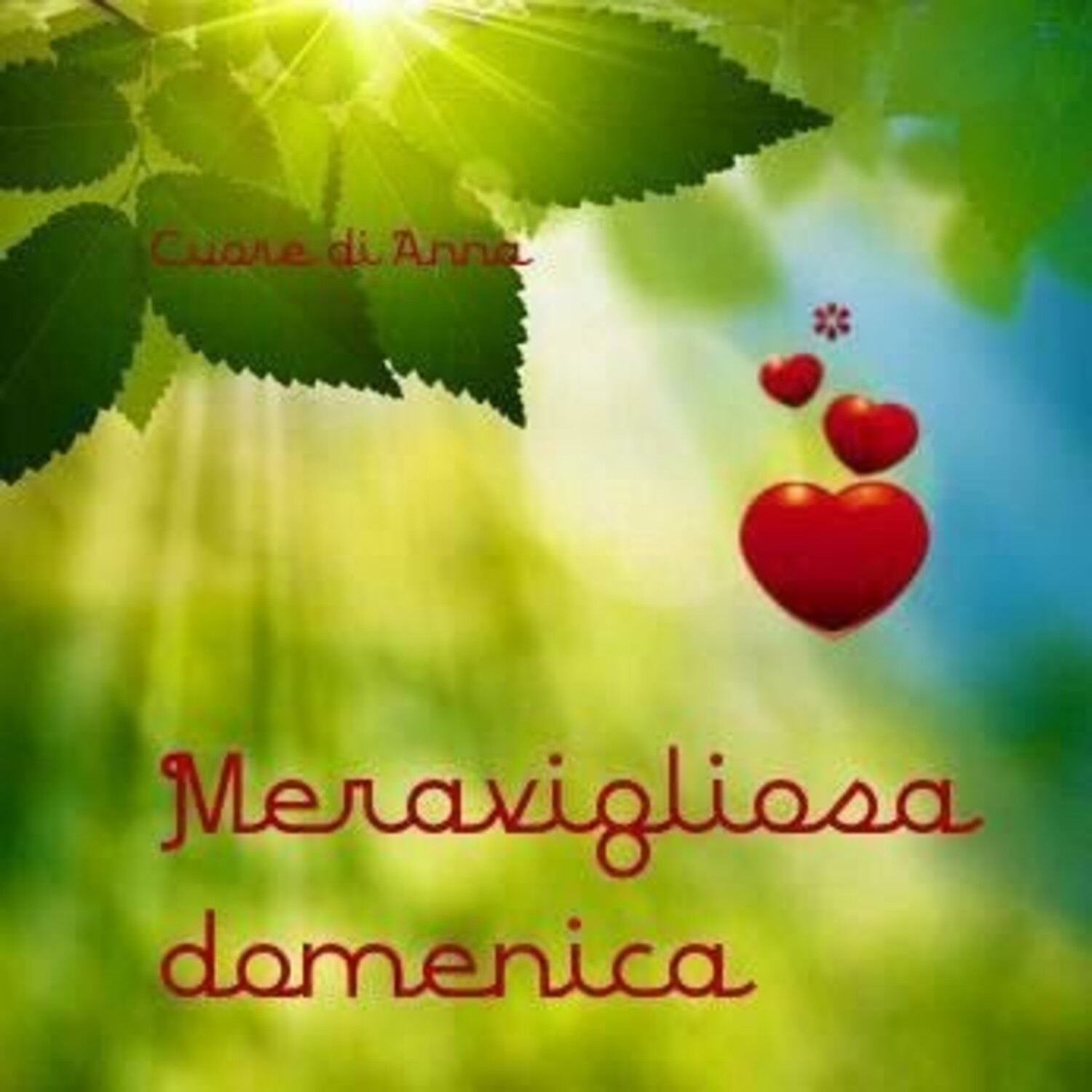 Meravigliosa domenica