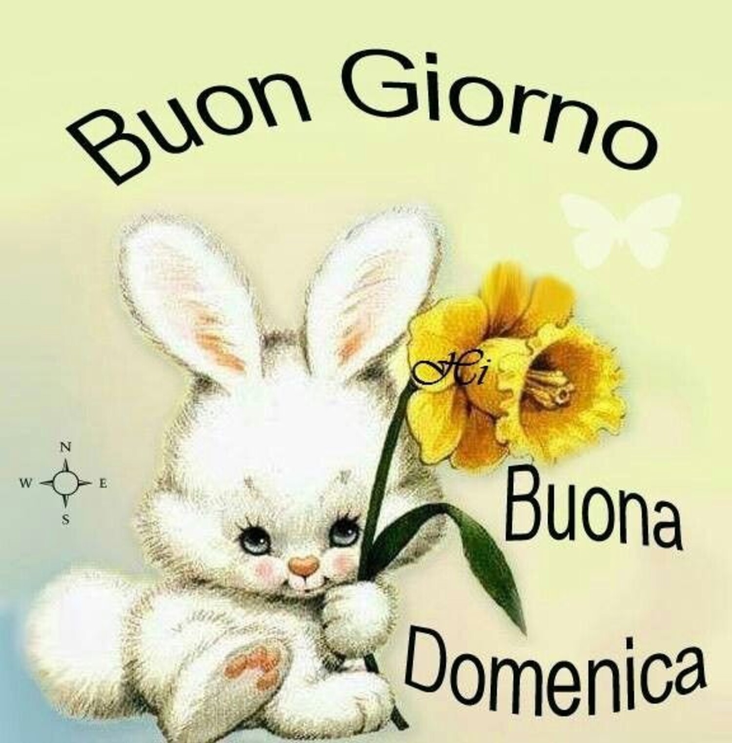 Buongiorno Buona Domenica