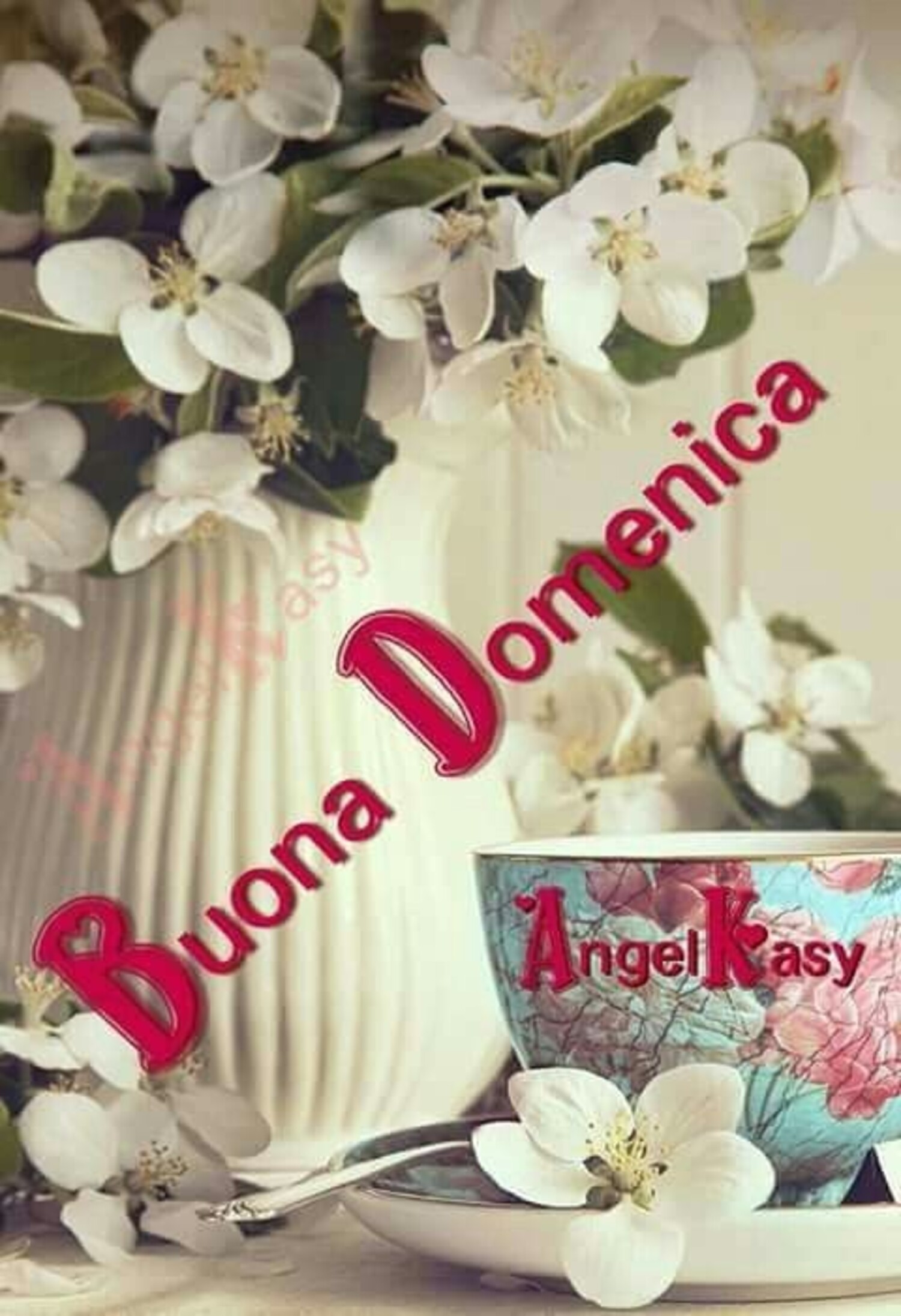 Buona Domenica