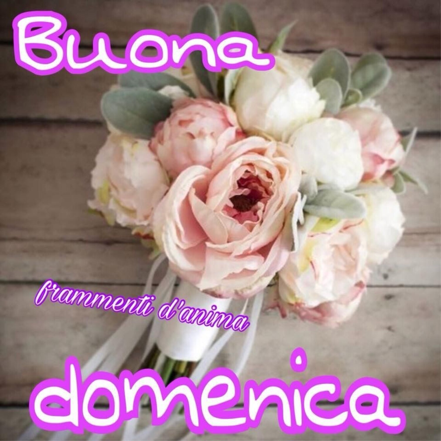 Buona Domenica