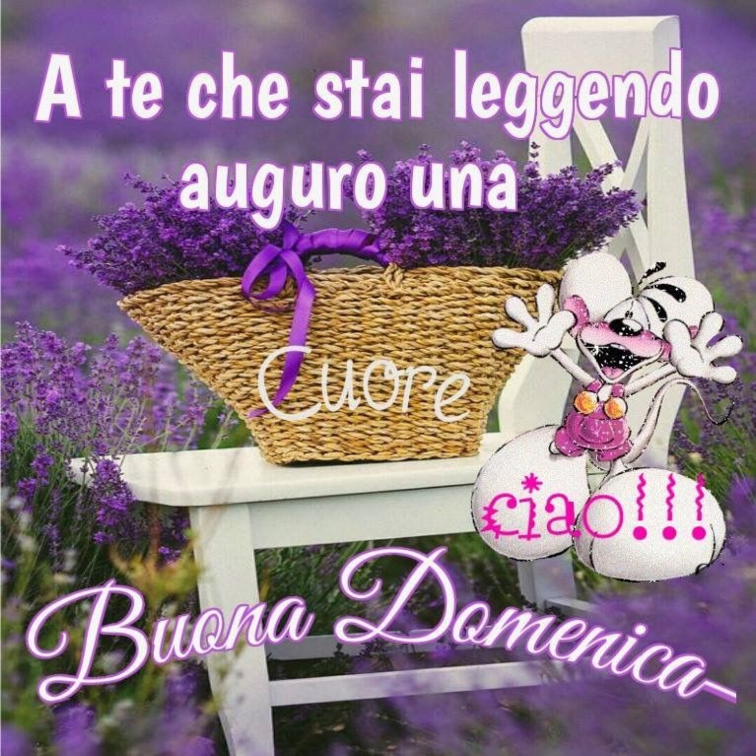 A te che stai leggendo auguro una buona domenica