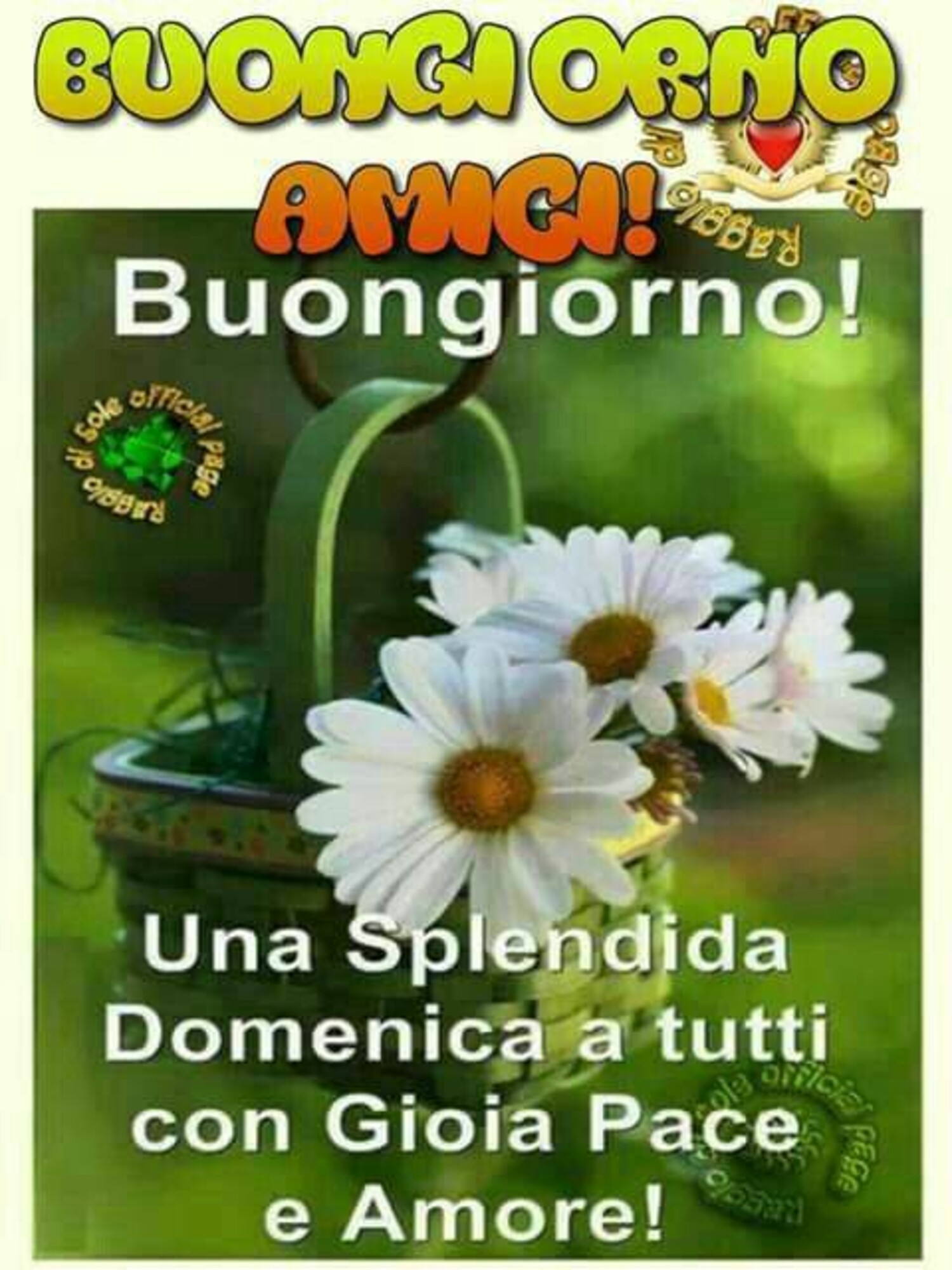 Buongiorno amici buongiorno! Una splendida domenica a tutti con gioia pace e amore