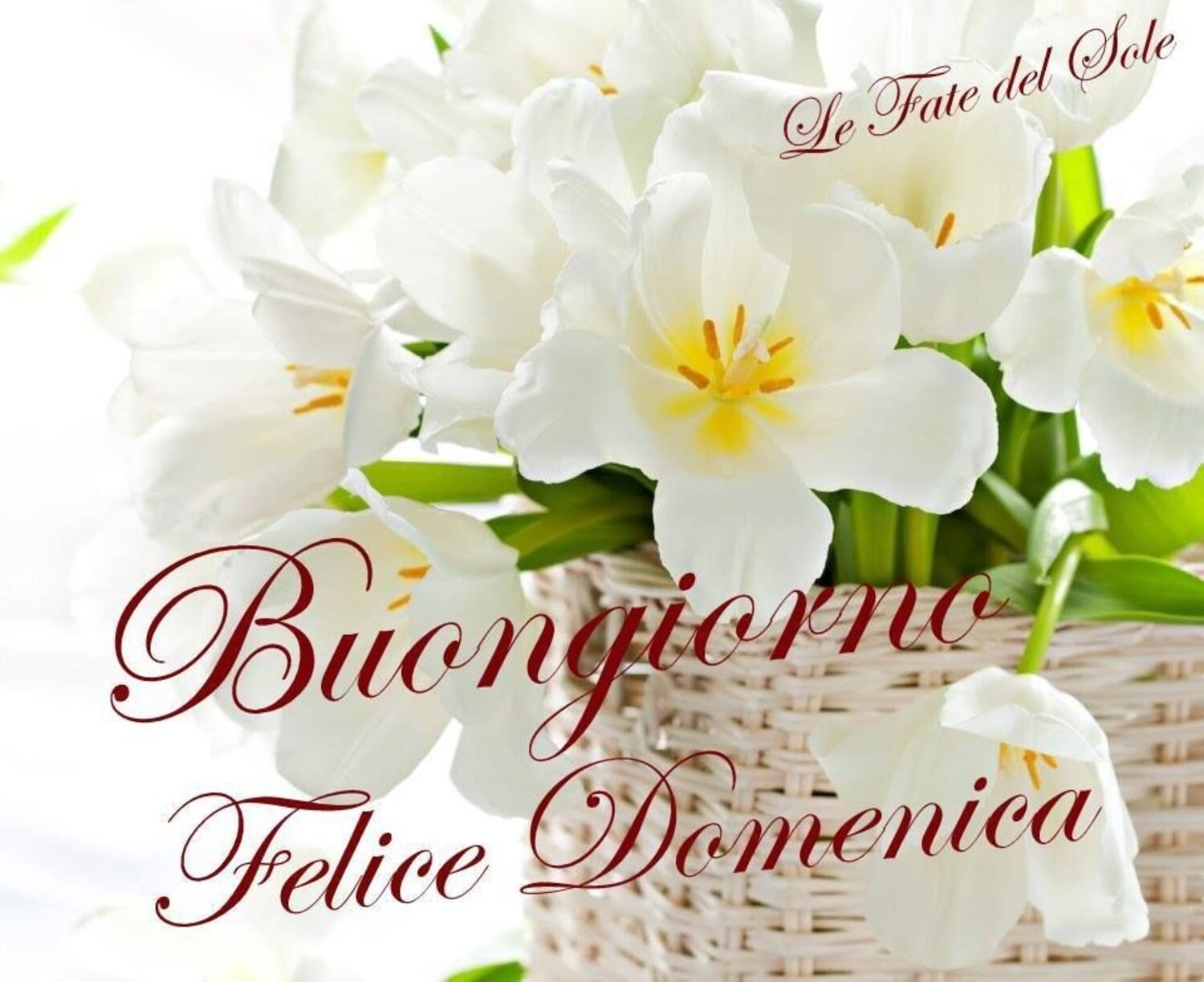 Buongiorno felice domenica