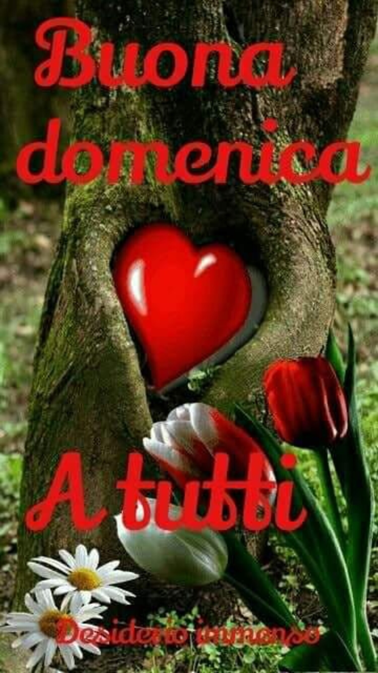 Buona domenica a tutti