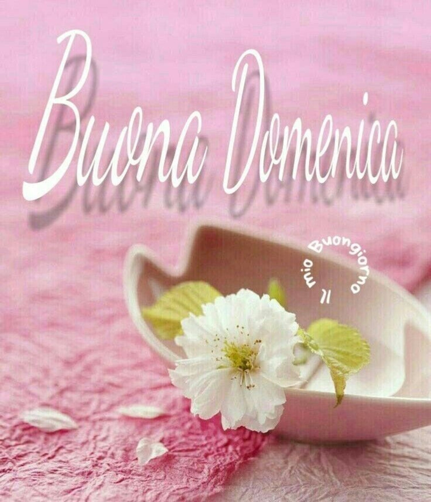 Buona domenica