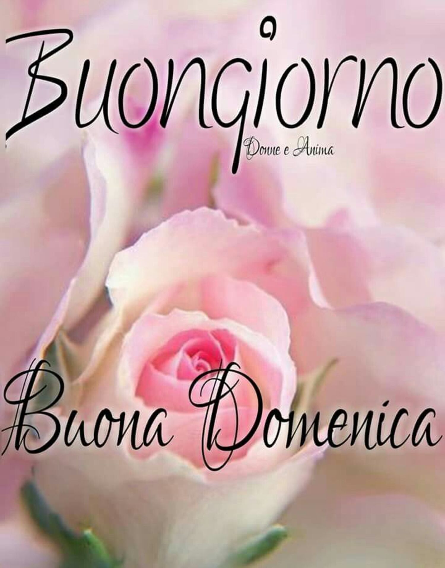 Buongiorno Buona Domenica