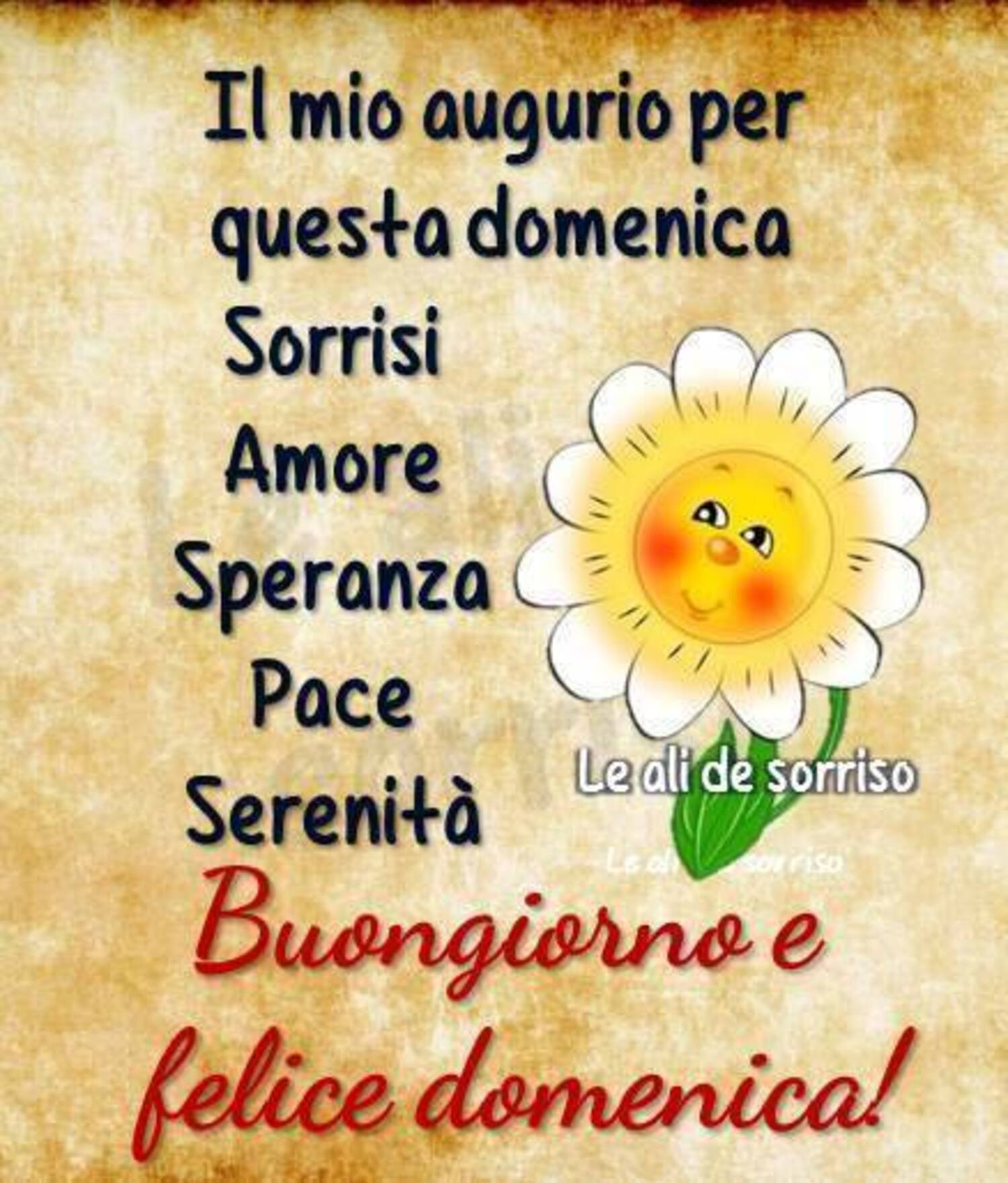 Il mio augurio per questa domenica: Sorrisi, Amore, Speranza, Pace, Serenità! Buongiorno e felice domenica!