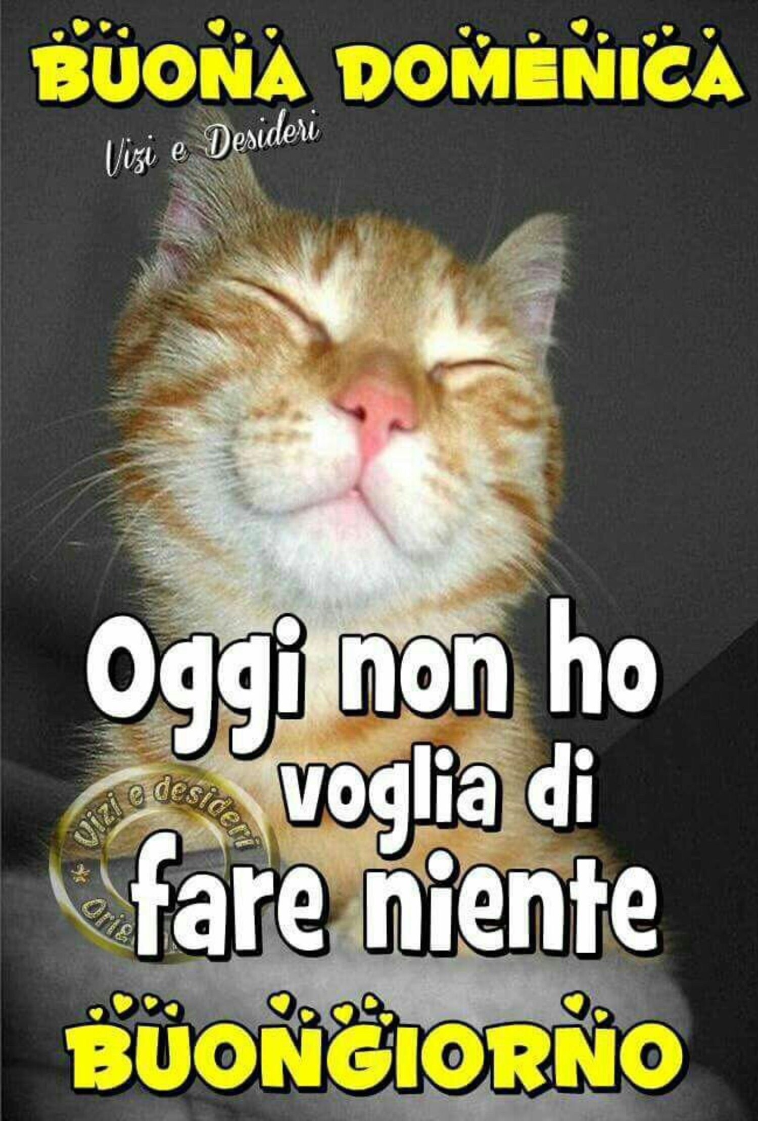 Buona Domenica oggi non ho voglia di fare niente! Buongiorno