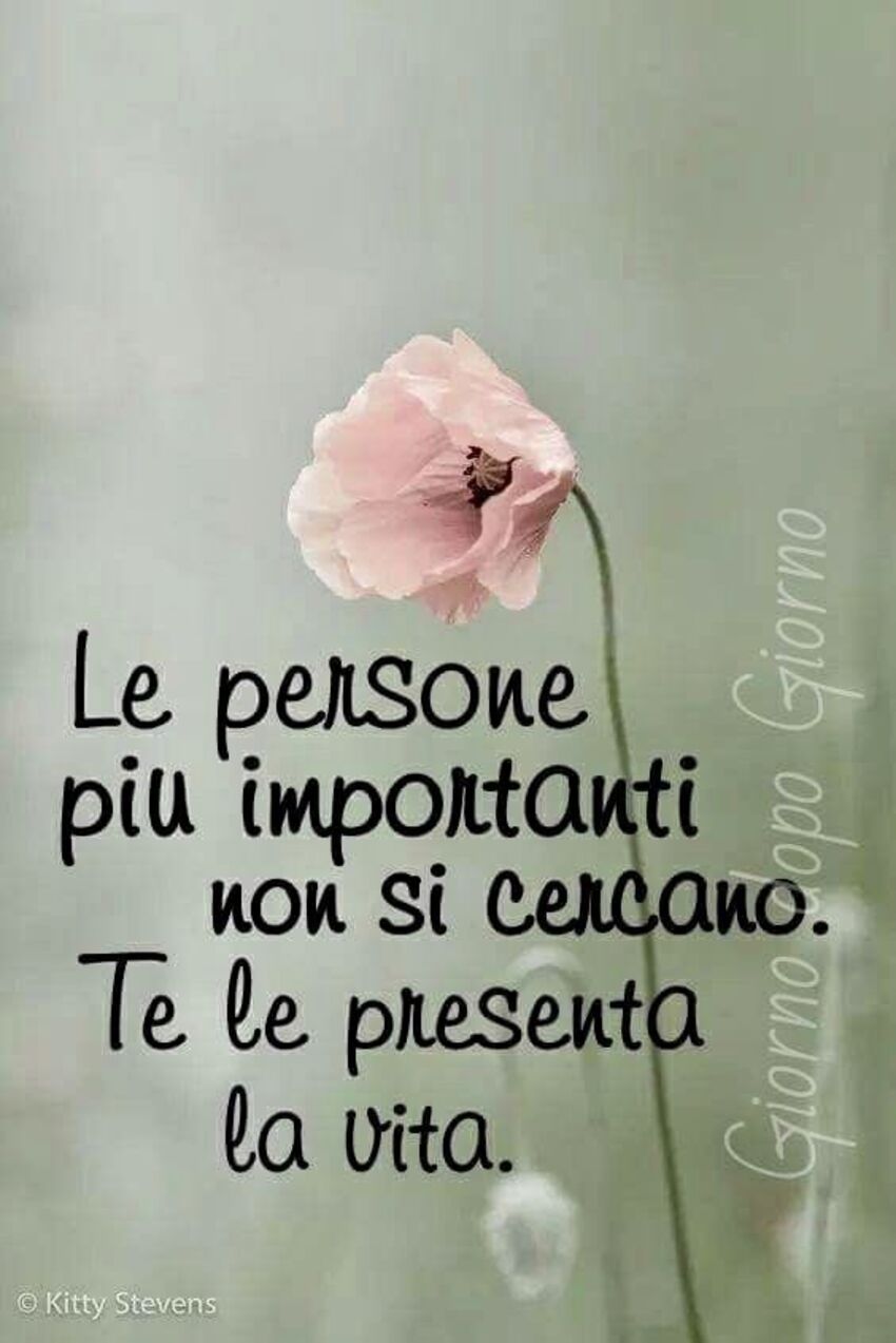 Le persone più importanti non si cercano. Te le presenta la vita.