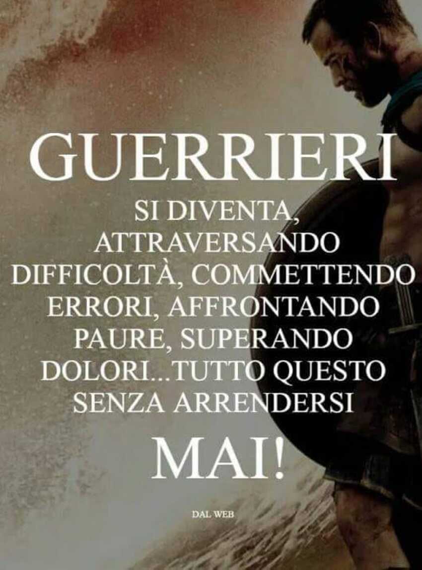 Guerrieri si diventa, attraversando difficoltà, commettendo errori, affrontando paure, superando dolori...tutto questo senza arrendersi mai!