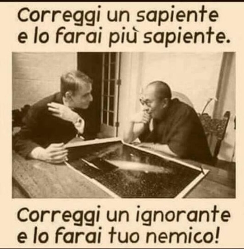 Correggi un sapiente e lo farai più sapiente. Correggi un ignorante e lo farai tuo nemico!
