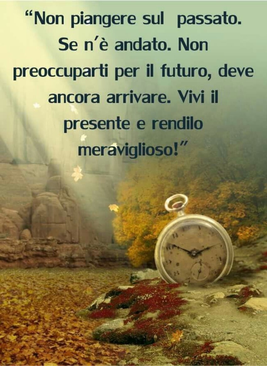 "Non piangere sul passato. Se n'è andato e non preoccuparti per il futuro, deve ancora arrivare. vivi il presente e rendilo meraviglioso!"