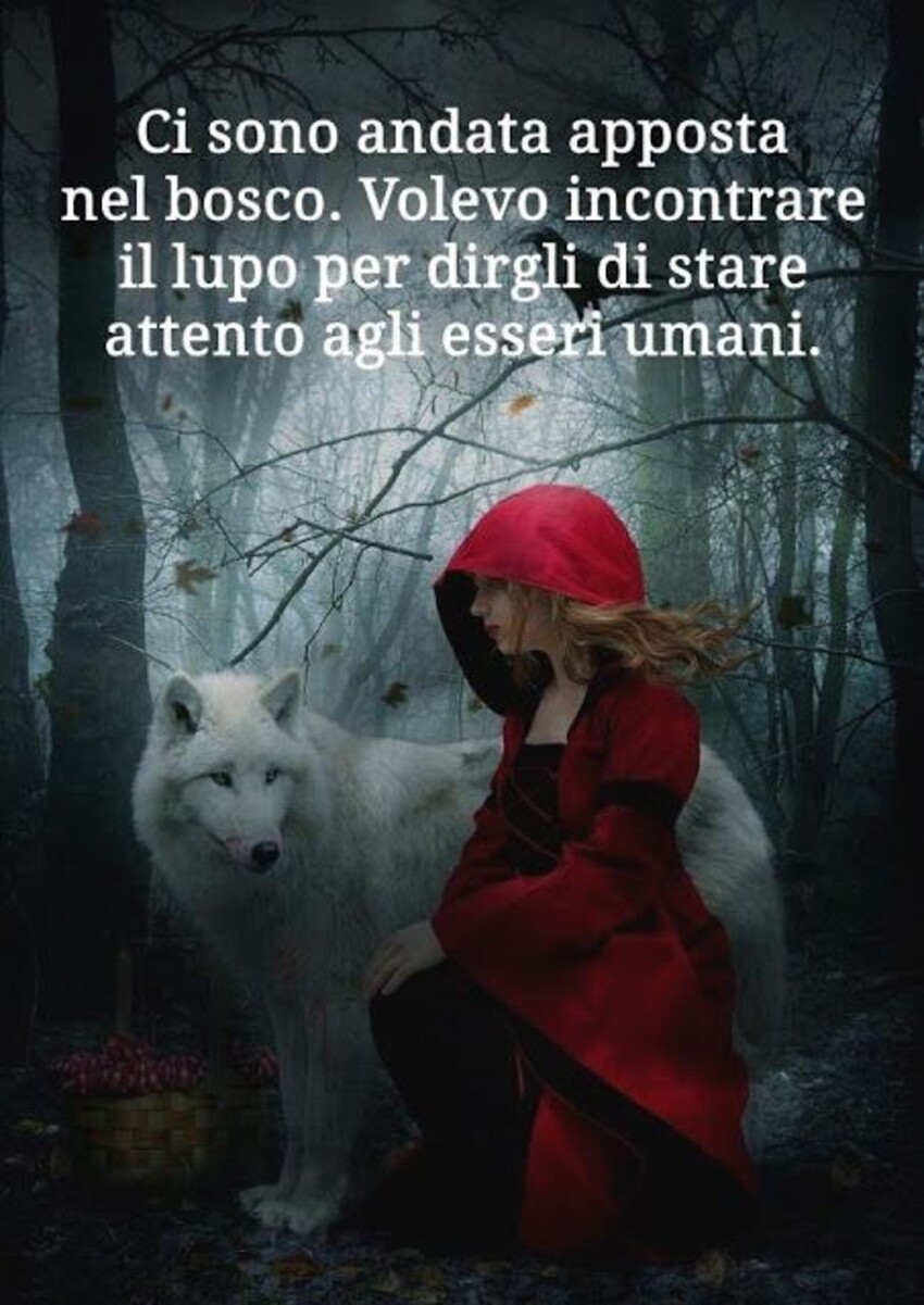 Ci sono andata apposta nel bosco. Volevo incontrare il lupo per dirgli di stare attento agli esseri umani.