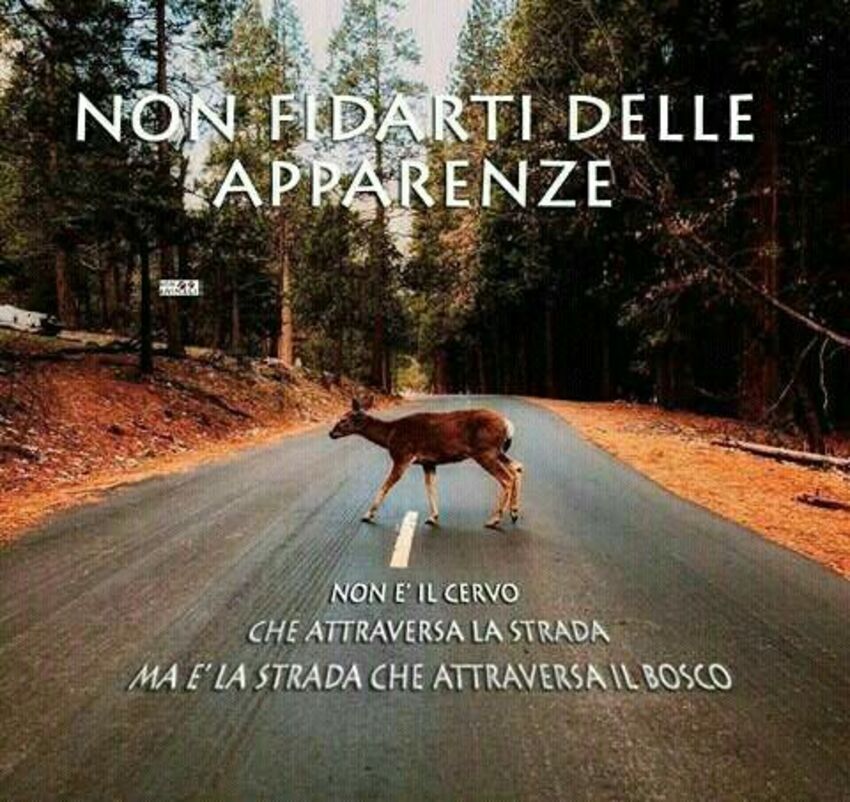 Non fidarti delle apparenze...non è il cervo che attraversa la stanza ma è la strada che attraversa il bosco
