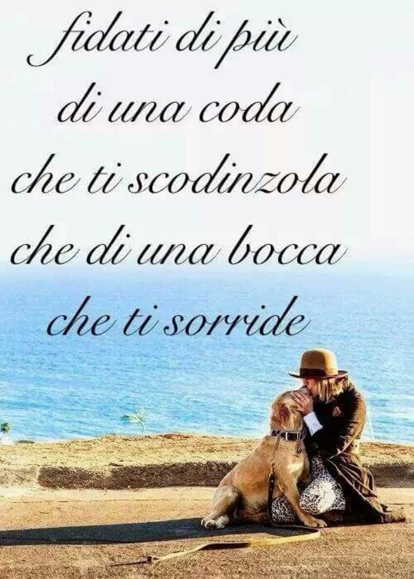 Fidati di più di una coda che ti scodinzola che di una bocca che ti sorride
