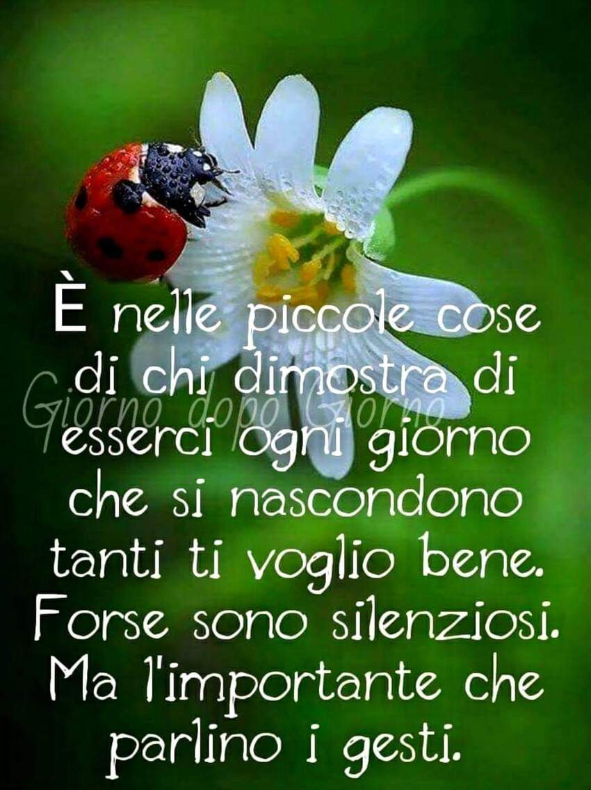 E' nelle piccole cose chi dimostra di esserci ogni giorno che si nascondono tanti ti voglio bene. Forse sono silenziosi. Ma l'importante che parlino i gesti.