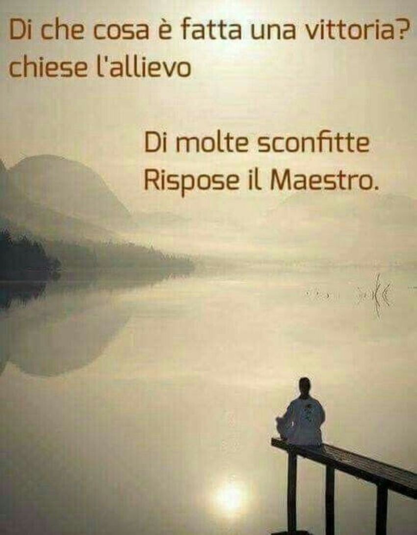 Di cosa è fatta una vittoria? chiese l'allievo...Di molte sconfitte rispose il maestro.