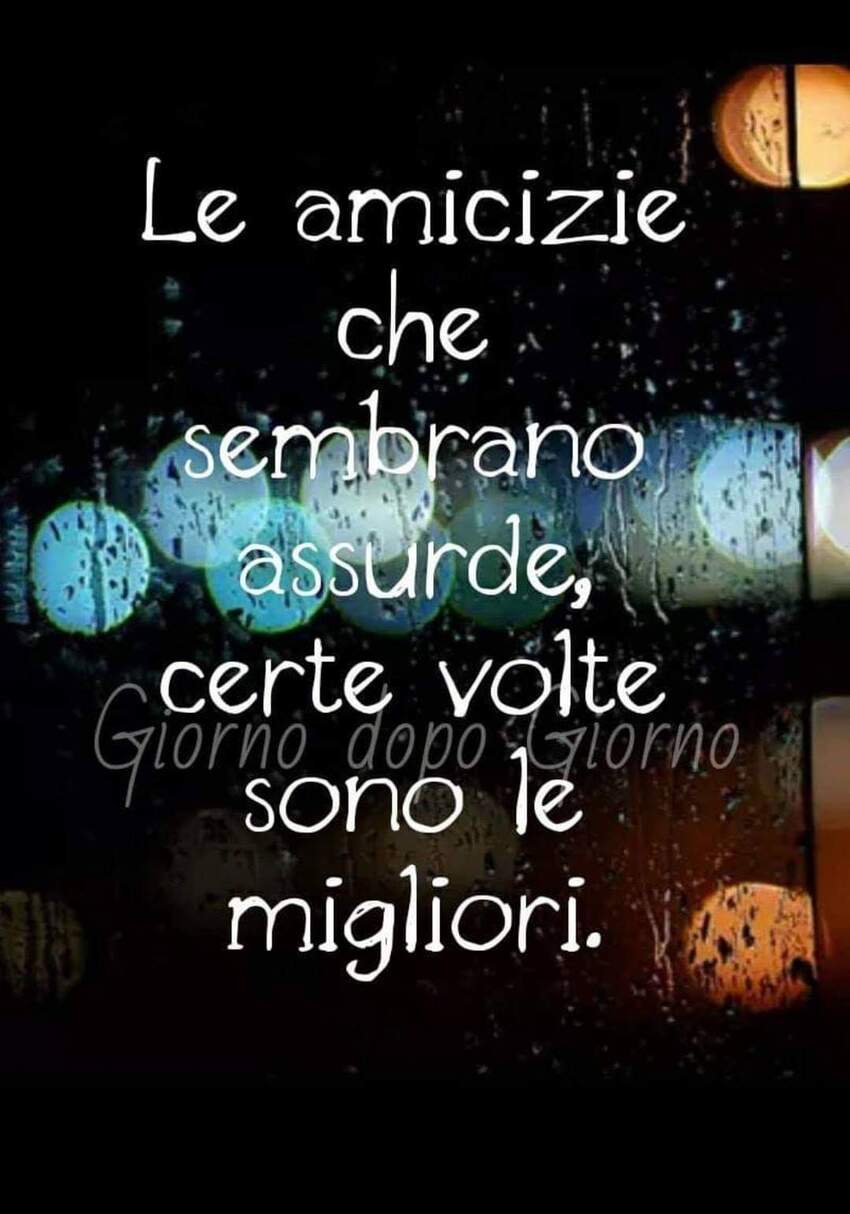 Le amicizie sembrano assurde, certe volte sono le migliori.