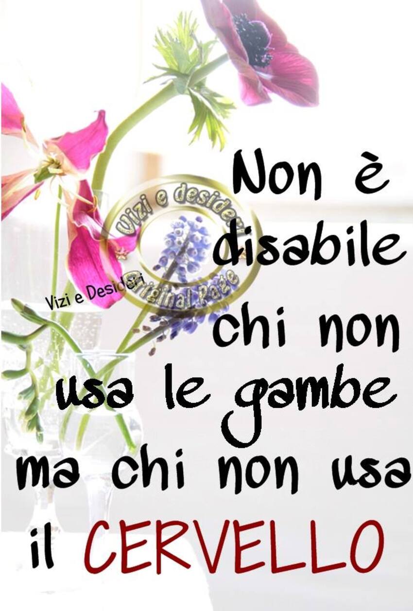 Non è disabile chi non usa le gambe ma chi  non usa il cervello