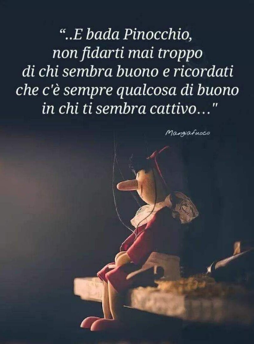 "..e bada Pinocchio non fidarti mai troppo di chi sembra buono e ricordalo che c'è sempre qualcosa di buono in chi ti sembra cattivo..."