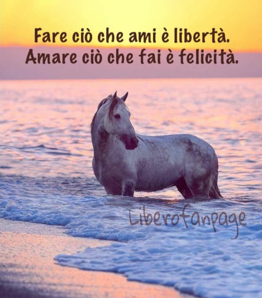 Fare ciò che ami è libertà. Amare ciò che fai è felicità