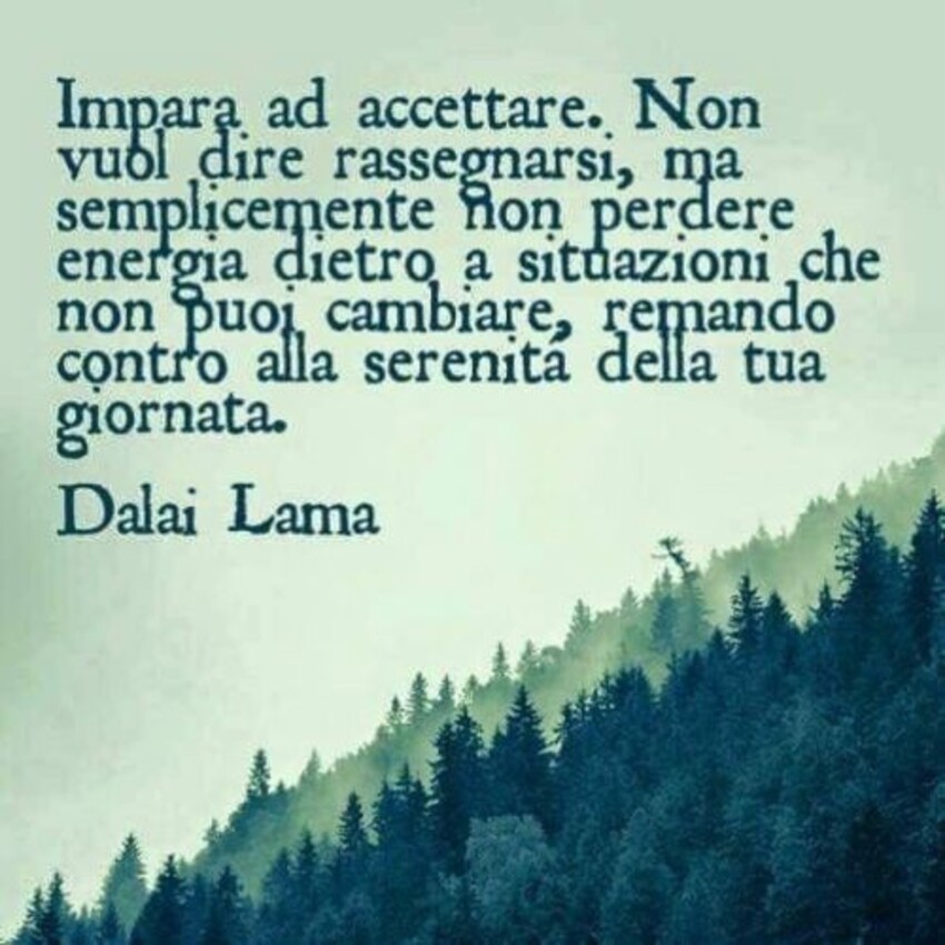 Impara ad accettare. Non vuol dire rassegnarsi, ma semplicemente non perdere energia dentro a situazioni che non puoi cambiare, remando contro la serenità della tua giornata. - Dalai Lama