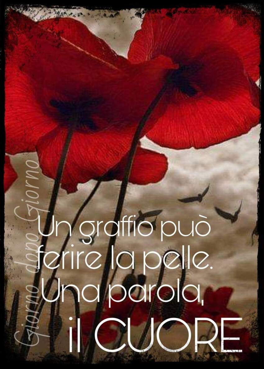 Un graffio può ferire la pelle. Una parola, il cuore