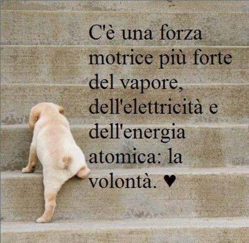 C'è una forza motrice più forte del vapore, dell'elettricità e dell'energia atomica: la volontà