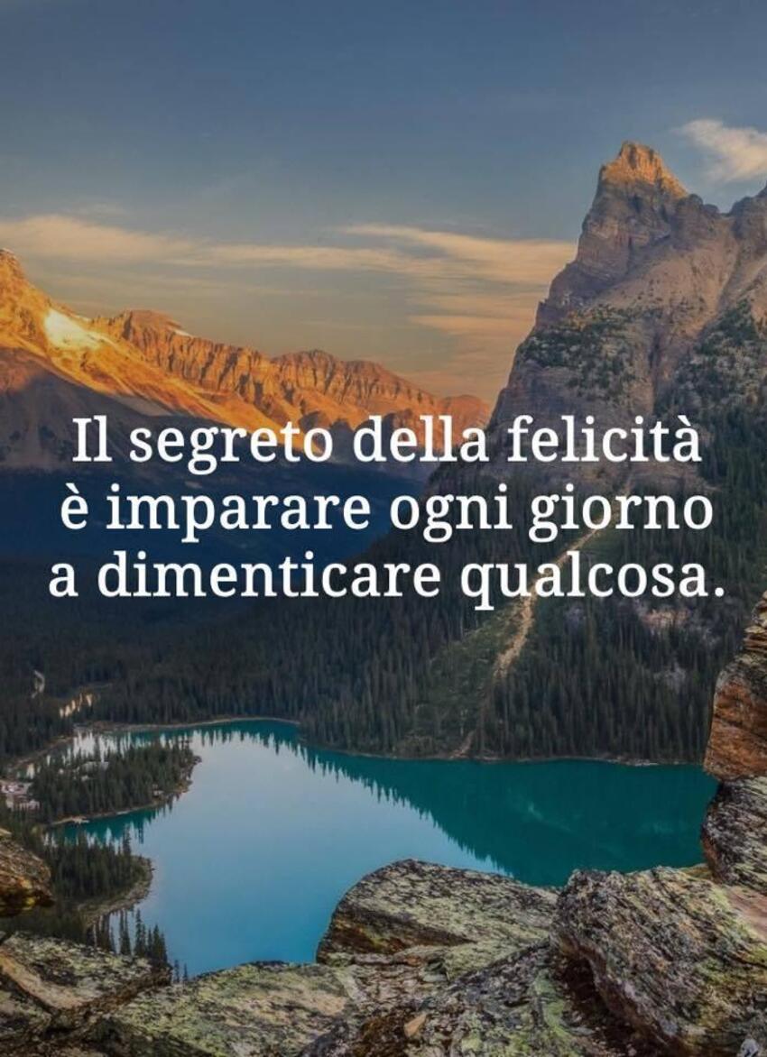 Il segreto della felicità è imparare ogni giorno a dimenticare qualcosa.