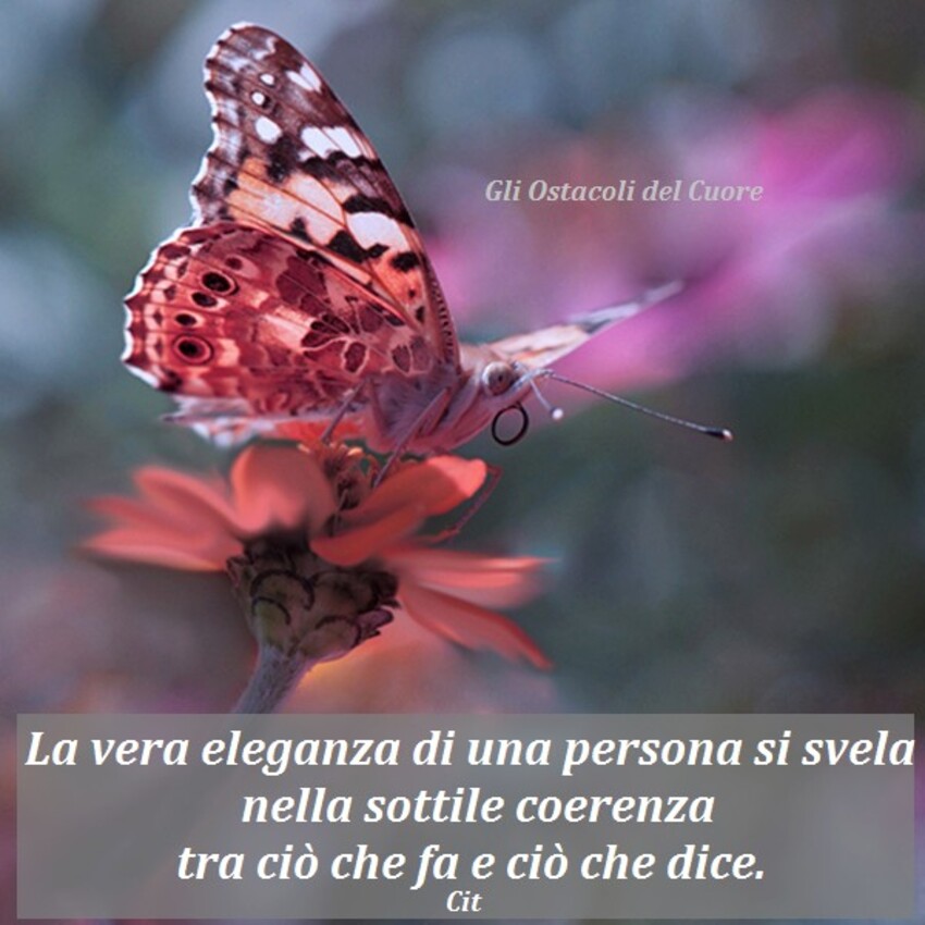 La vera eleganza di una persona si svela nella sottile coerenza tra ciò che fa e ciò che dice.