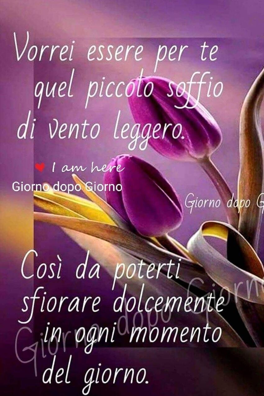 Vorrei essere per te quel piccolo soffio di vento leggero. Così da poterti sfiorare dolcemente in ogni momento del giorno.