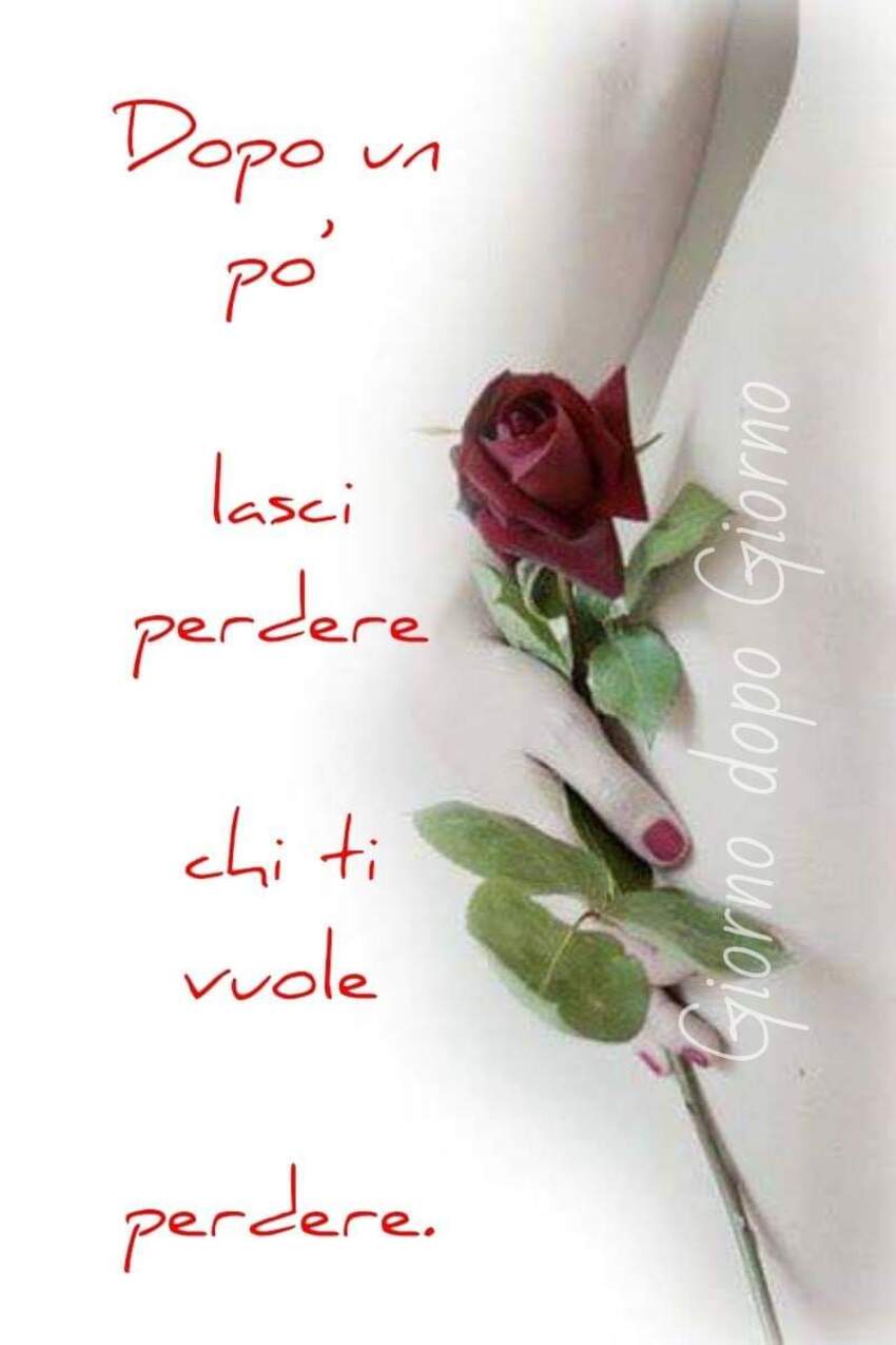 Dopo un po' lasci perdere chi ti vuole perdere