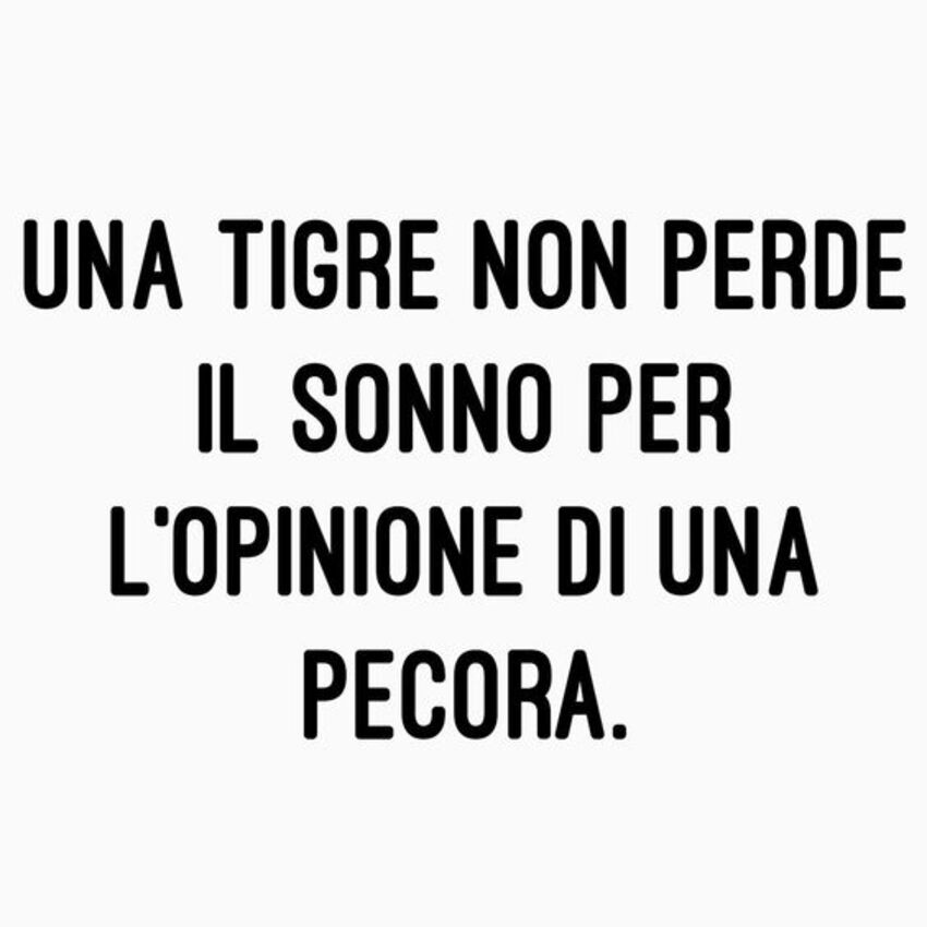 Una tigre non perde il sonno per l'opinione di una pecora