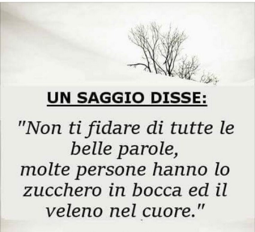 Un saggio disse:"non ti fidare di tutte le belle parole, molte persone hanno lo zucchero in bocca ed il veleno nel cuore."
