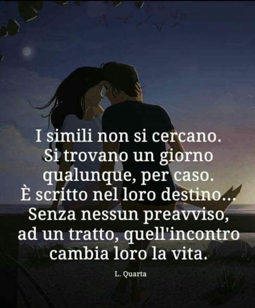 I simili non si cercano. Si trovano un giorno qualunque, per caso. E' scritto nel loro destino...senza nessun preavviso, ad un tratto, quell'incontro cambia loro la vita.