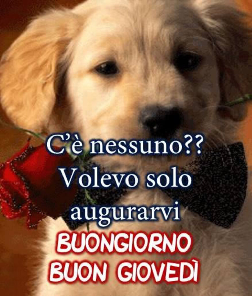 C'è nessuno?? Volevo augurarvi Buongiorno e Buon Giovedì